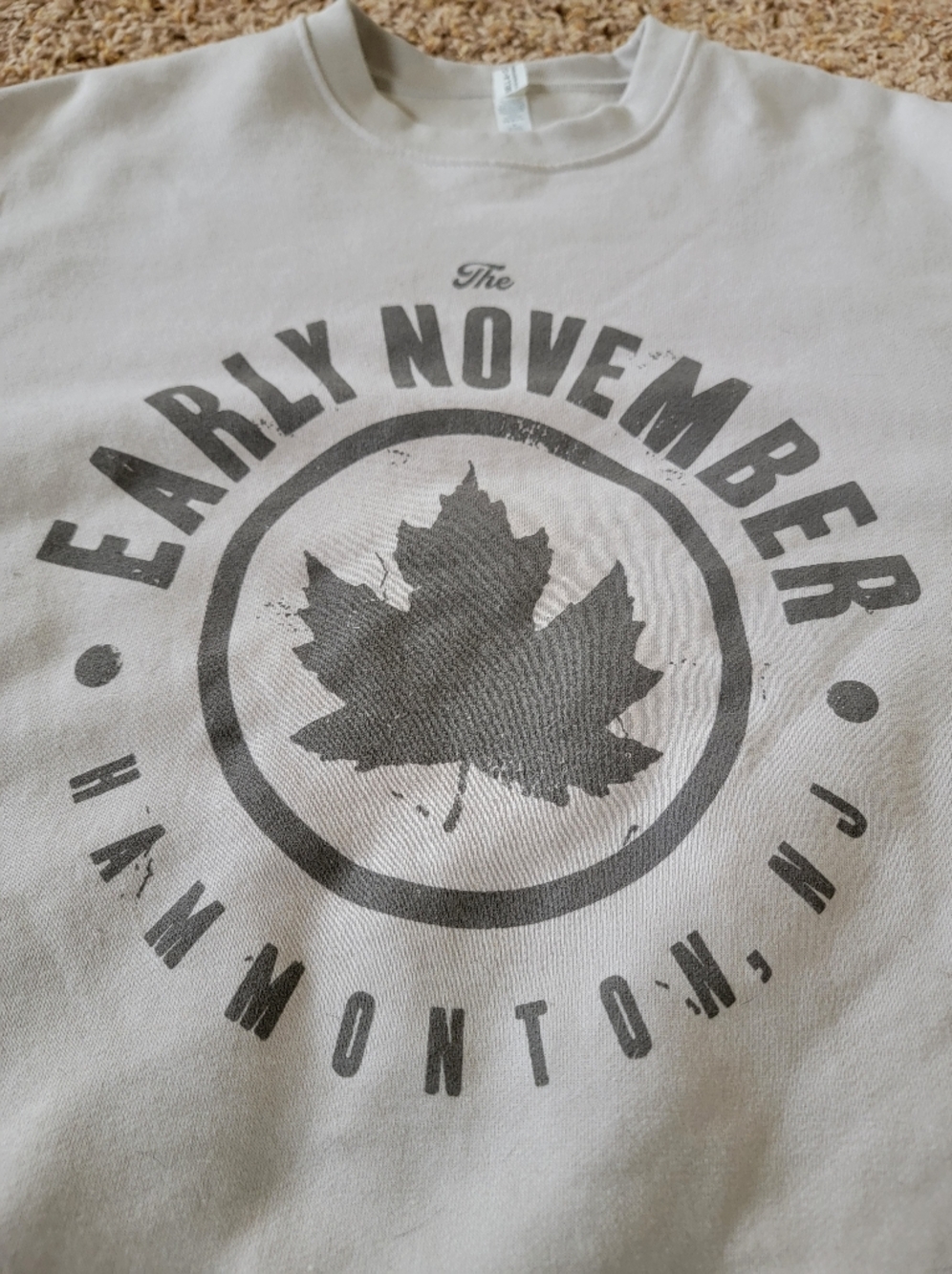 The Early November Mens/Womens Beige Emo Concert Pullover Sweatshirt! Size Large - Picture 2 of 8